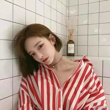 土地之光
